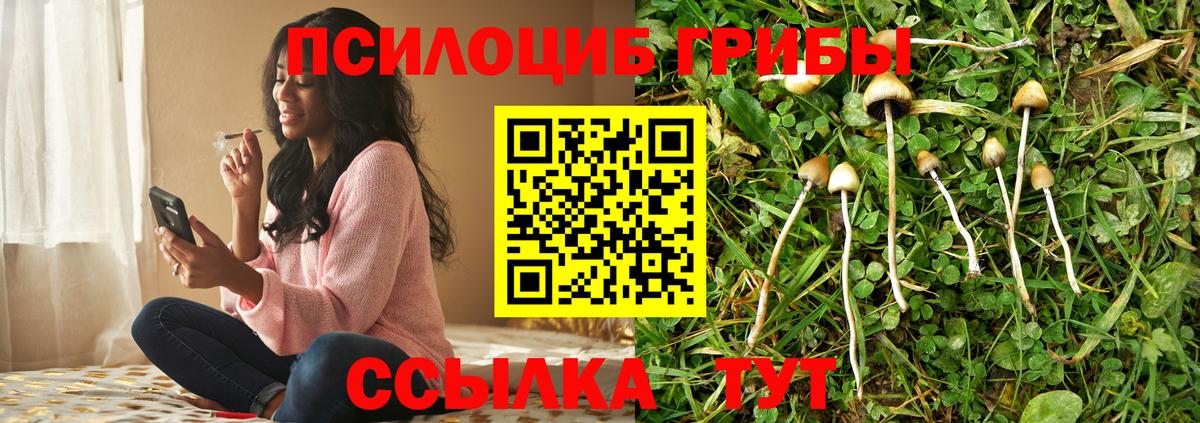Псилоцибиновые грибы MAGIC MUSHROOMS  Вход с VPN  Октябрьский 